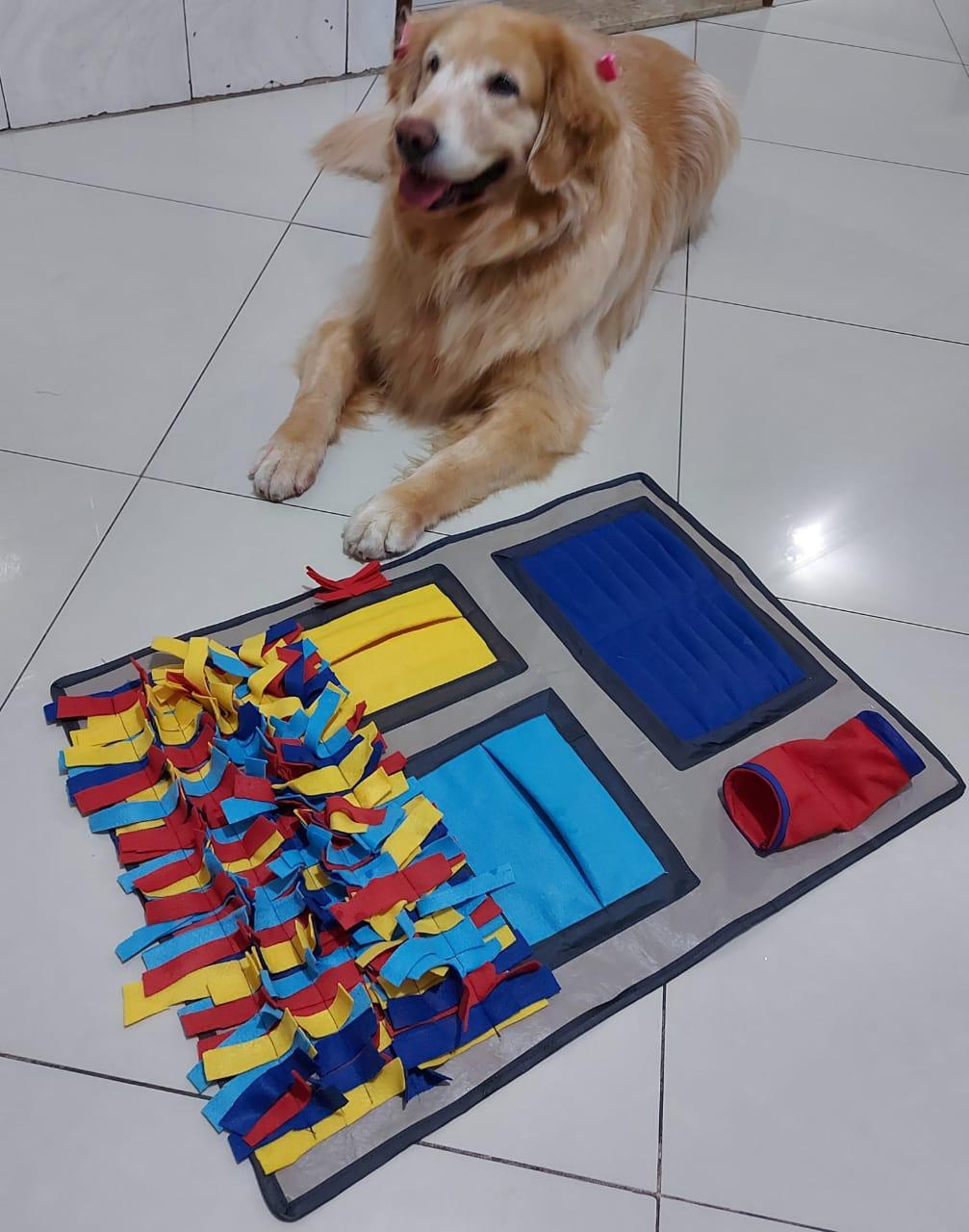Tapete para Cachorros e Gatos Interativo Recreativo